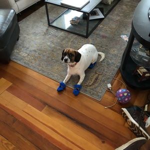 Meet your Posher, Brendan